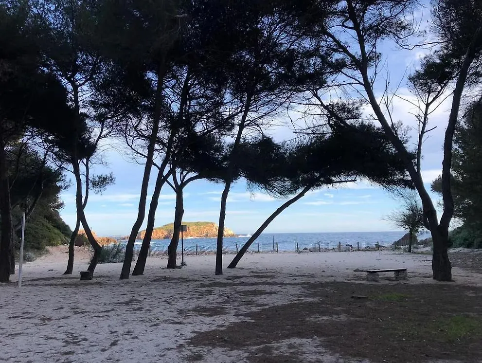 Residence Athena Port Bandol Apartment
